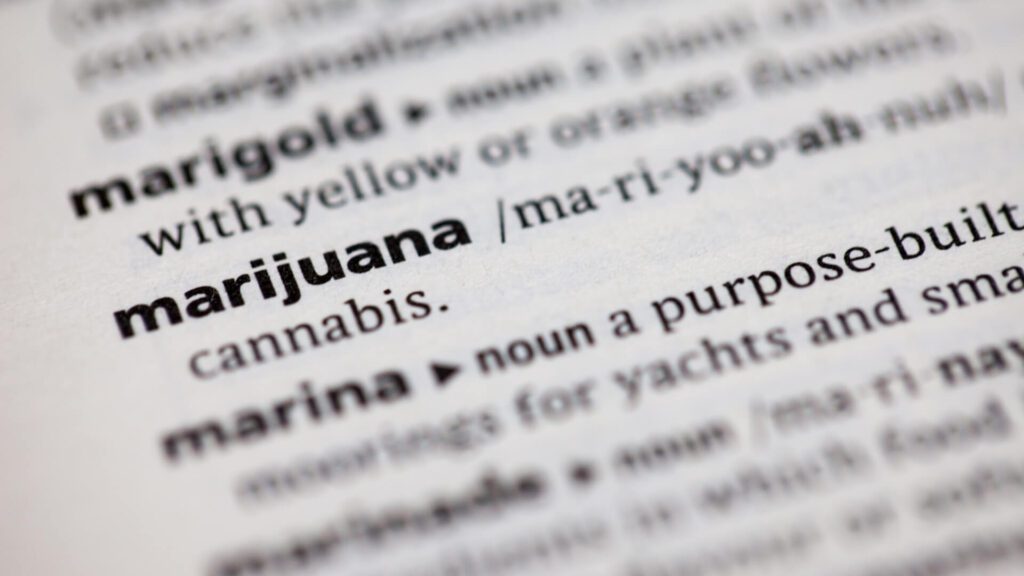 Cannabis slang terms