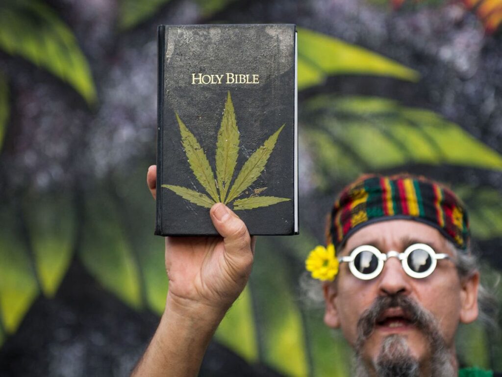 Marijuana bible