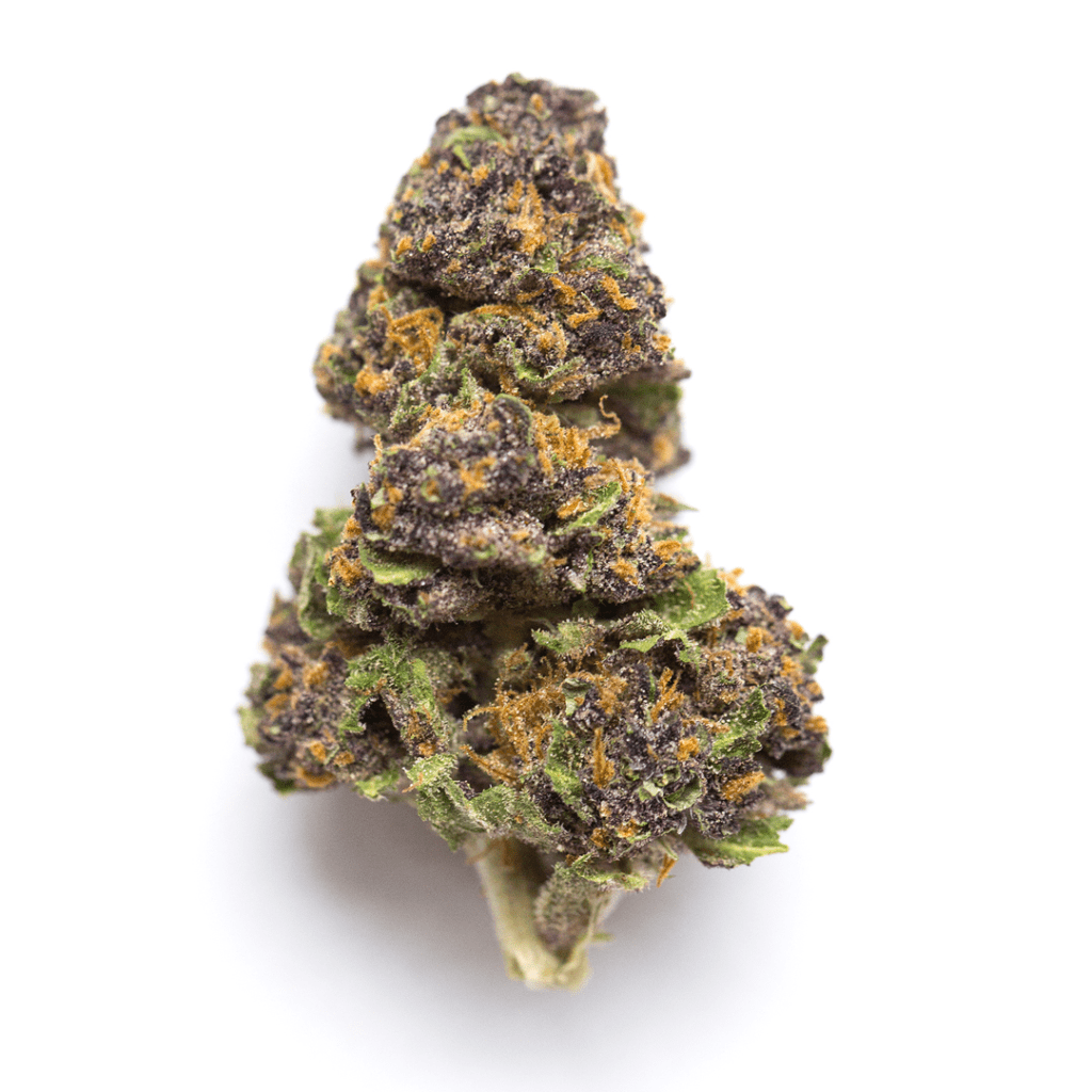 Cookie Monster Indica strain