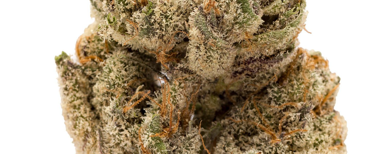 Do-Si-Dos Hybrid marijuana strain