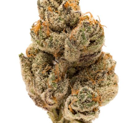 Do-Si-Dos Hybrid marijuana strain