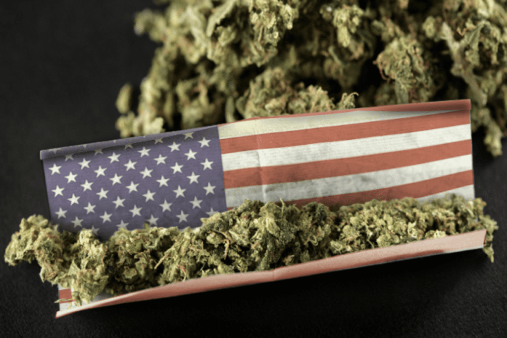 Top strains for your July 4th experience