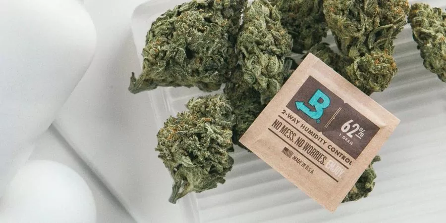 Boveda pack is a great weed hack to keep your herb fresh