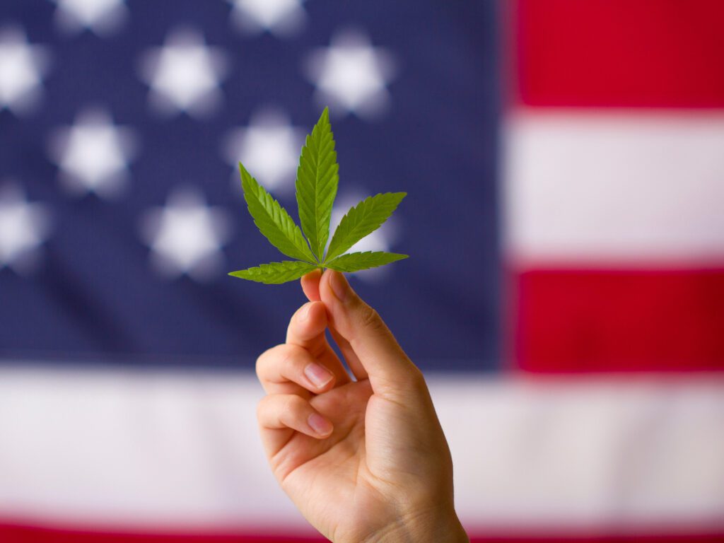 United States flag with a marijuana leaf